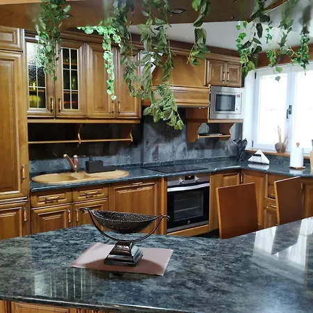 Marina Nova 쎄다이라